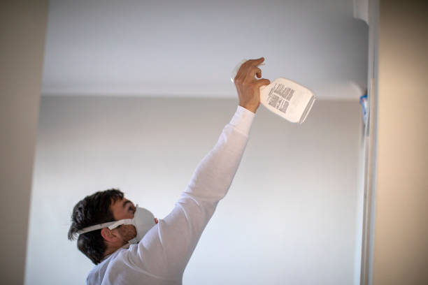 Best Professional Mold Removal  in Smithville, TX