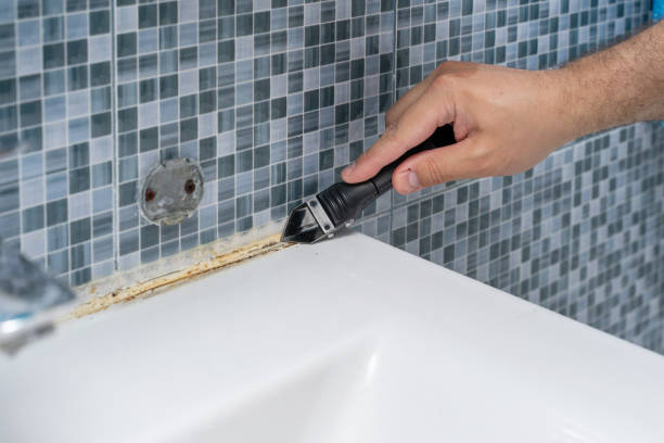 Best Attic Mold Removal  in Smithville, TX