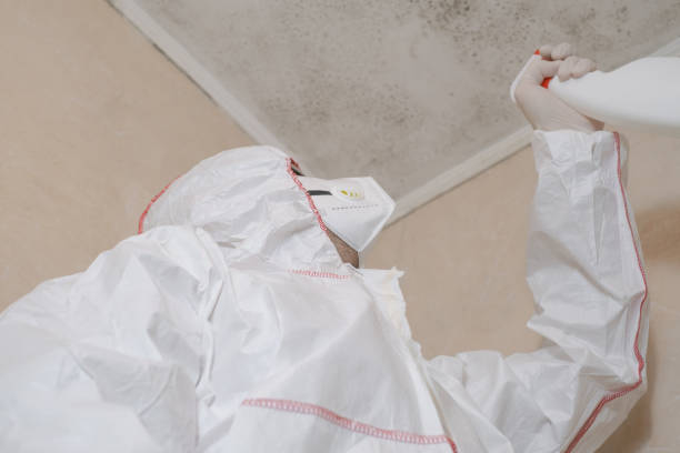 Best Office Mold Removal Services  in Smithville, TX